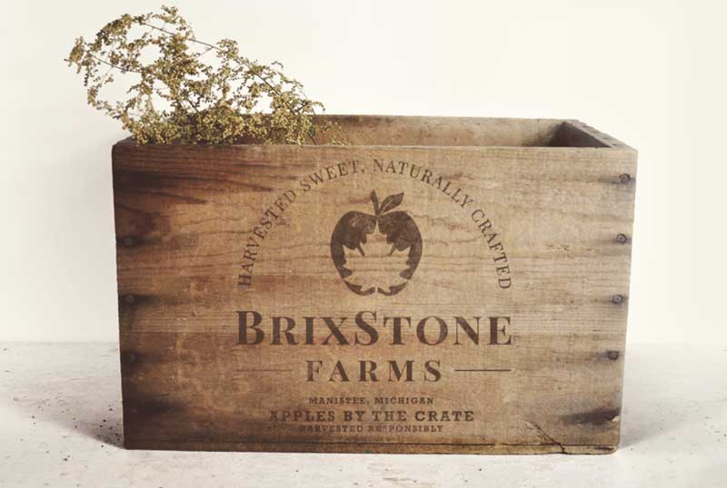 logo design on creates of apples for Brixstone farms