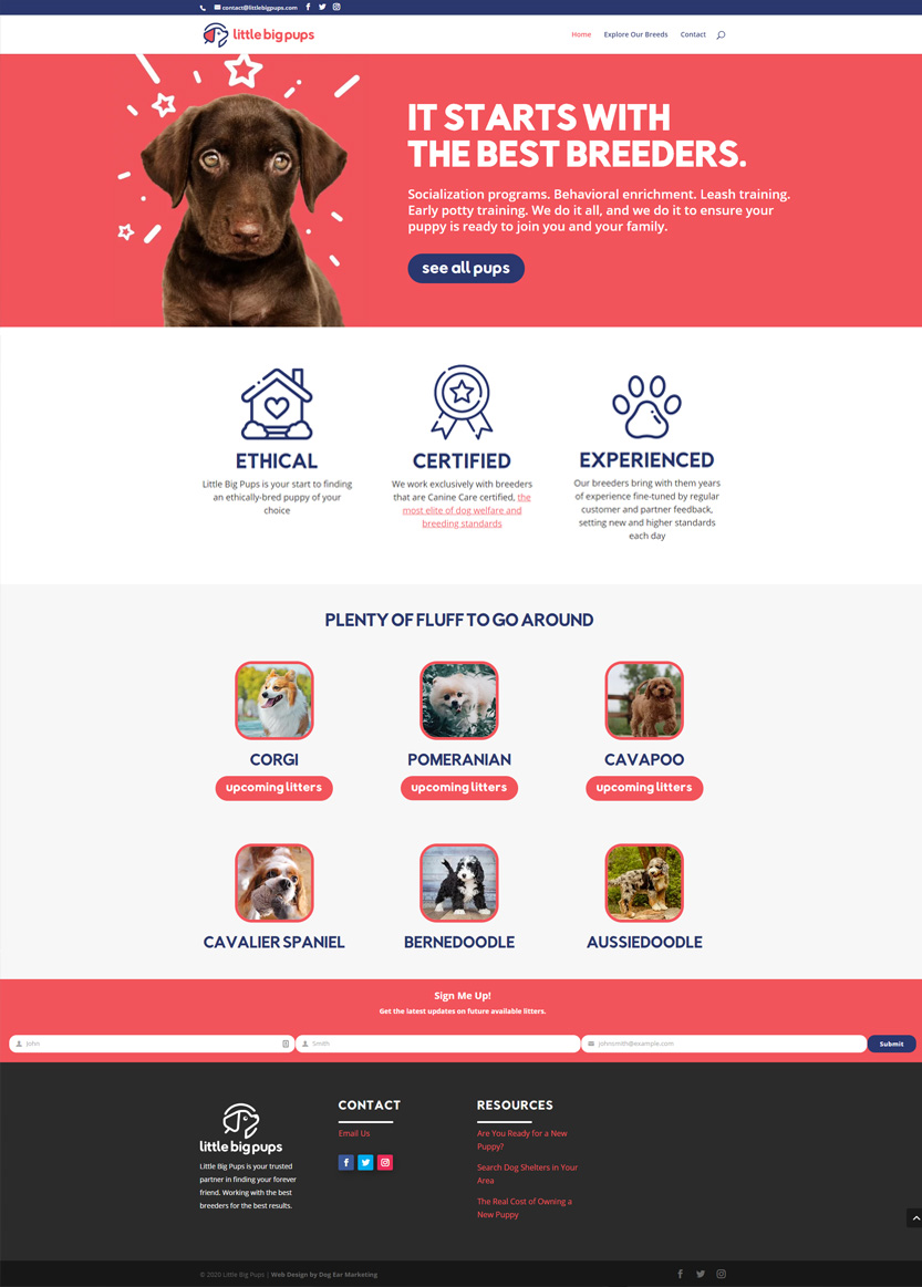 little big pups site web design