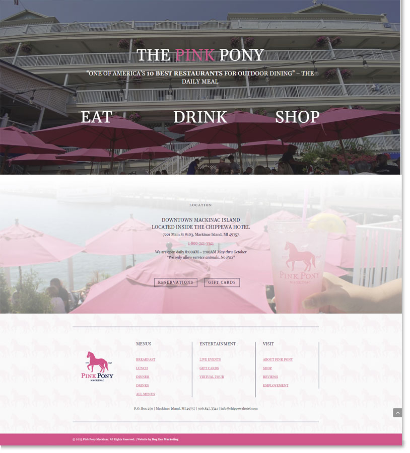 new homepage web design of the Pink Pony site